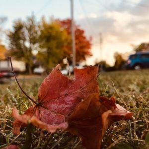 Meet your Posher, Adrianna